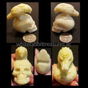 Serpentine Raven on a Skull